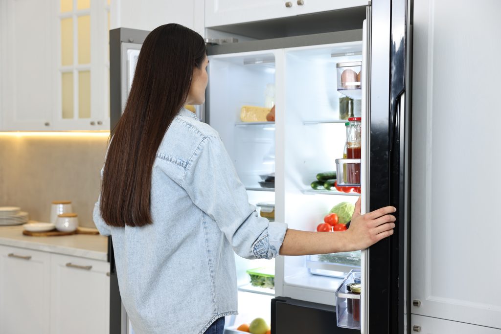 fridge making loud buzzing